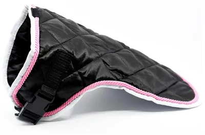 Image de Couverture starlight noire pour hobby horse