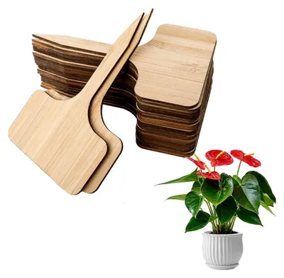 Produktbild von Pflanzenstecker, 40 Stück Pflanzenschilder, Wetterfeste Stecketiketten, Gartenzubehör, Pflanzschilder, Pflanzstäbe zur Beschriftung, Langlebige Holzbeschriftung