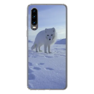 Produktbild von MuchoWow® Handyhülle Schutzhülle Hülle für Huawei P30 Fuchs - Schnee - Berge Silikon Softcase Handy Hülle - Kartenbesitzer
