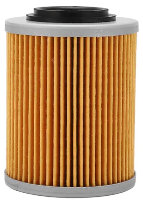 Image de Engine Oil Filter Cylindrical Engine Fuel Filter Replacement for RYKER Ally Edition 900 ACE