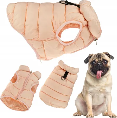 Produktbild von Hundewinterbekleidung warm PIKOVED COAT isoliert XL