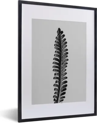 Produktbild von MuchoWow® MuchoWow® Gerahmtes Poster Abstraktes Blatt in Schwarz und Weiß 30x40 cm - Poster mit zchwarzem Bilderrahmen - Wandposter Schlafzimmer