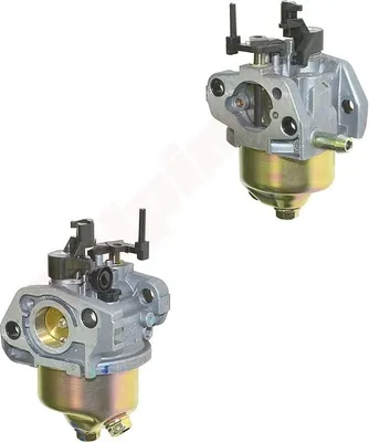 Image de Carburateur Pour Mtd ( 751-05538 , 951-05538 )