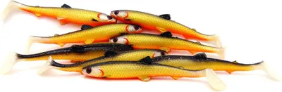 Image de Westin BullTeez Shadtail 9,5cm 155 Official Roach