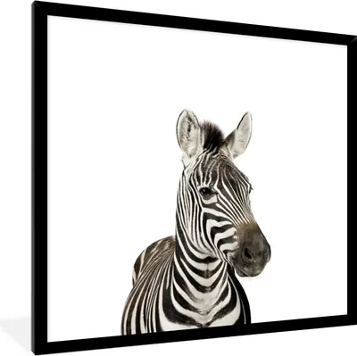 Produktbild von MuchoWow® Gerahmtes Poster Tiere - Zebra - Kinder - Weiß - Porträt - Mädchen 40x40 cm - Poster mit Schwarzem Bilderrahmen Wandposter Rahmen Foto Bilder - Mit Rahmen - Wanddekoration Schlafzimmer