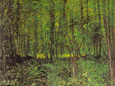 Obrázek produktu pro Vincent Van Gogh Art Print Obraz - Stromy a podrost, 1887 (60 x 80 cm)