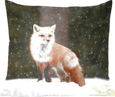 Produktbild von MuchoWow® Zierkissen Sofakissen Wohnzimmer Dekokissen 60x60 cm Fuchs - Schnee - Winter - Sitzfläche - Foto Polster