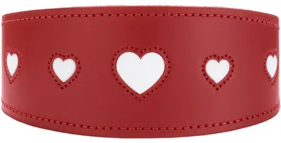 Productafbeelding van Hunter 69408, Pes, Standaard halsband, Rood, Leer, Effen, Maat M