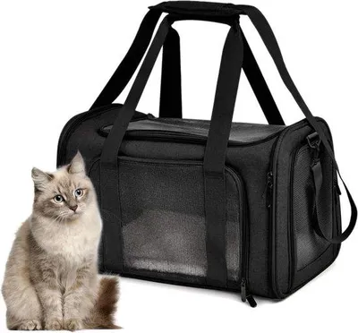 Produktbild von Famanu Transportbox für Haustiere - Katzenrucksack - Atmungsaktives Netz - Faltbare Tasche für Flugreisen - Schwarz - Größe S