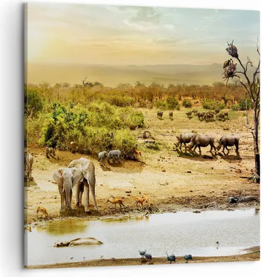 Produktbild von Bild auf Leinwand - Leinwandbild - Safari Tiere - 50x50cm - Wand Bild - Wanddeko - Wandbilder - Leinwanddruck - Bilder - Kunstdruck - Wanddekoration - Leinwand bilder - Wandkunst - AC50x50-3880