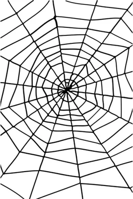 Produktbild von Halloween Seil Spinnennetz mit Spinne Gruselige Horror Deko 150 cm Schwarzes Netz für Halloween Party Spukhaus Mottoparty