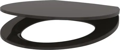 Produktbild von Delabie WC-Sitz Slim BCN schwarz Duroplast mit Deckel mit Abs-Auto.