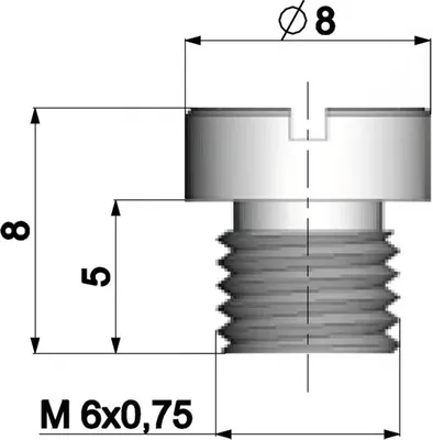 Produktbild von Vergaser Hauptdüse Polini 6mm für Dellorto Vergaser - 86