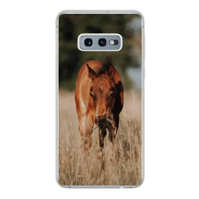 Produktbild von MuchoWow® Handyhülle Schutzhülle Hülle für Samsung Galaxy S10e Pferd - Sonne - Landschaft Silikon Softcase Handy Hülle - Handy