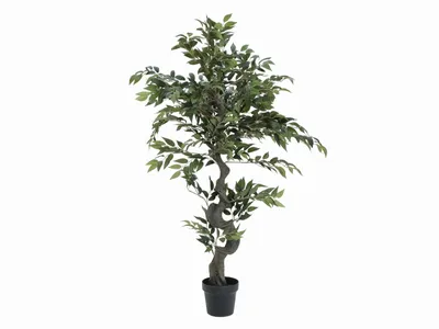 Obrázek produktu pro EUROPALMS Ficus lesní strom, umělá rostlina, 110 cm (82806313)