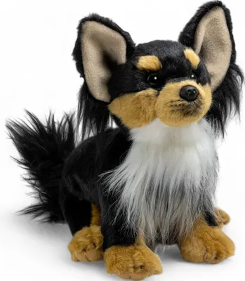 A plush toy chihuahua dog sitting on a white background.