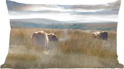 Produktbild von MuchoWow® Zierkissen Sofakissen Wohnzimmer Dekokissen 50x30 cm Schottische Hochlandrind - Nebel - Gras - Wohnzimmerdekoration - Polster mit Photo