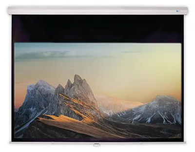 Produktbild von DELUXX Advanced Rolloleinwand Slowmotion 16:9 Mattweiss Polaro 221 x 124 cm