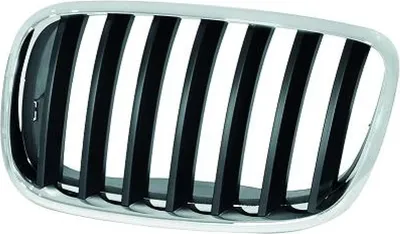 Produktbild von DIEDERICHS 1291049 Kühlergrill Frontgrill für BMW X5 (E70) Links Schwarz Chrom