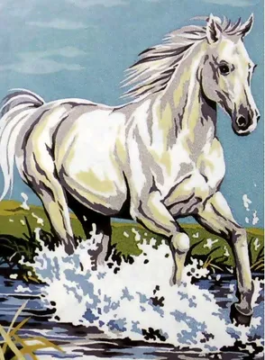 Produktbild von Pampicio Malen nach Zahlen Weißes Pferd 30x40 cm mit Rahmen