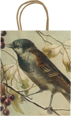 Produktbild von Dekorative Tasche A5 STBAG136 Vogel auf einem Zweig