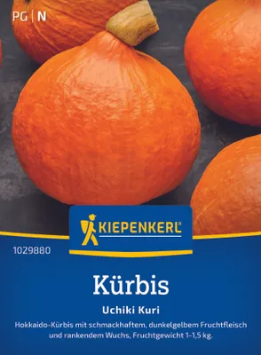 Produktbild von Kiepenkerl Kürbissamen Uchiki Kuri Cucurbita maxima 5 Pflanzen