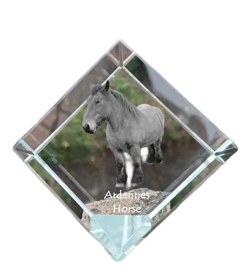 Immagine prodotto di Art-Dog Fermacarte – Cavallo delle Ardenne