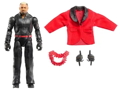 Produktbild von WWE JCJ20, 8 Jahr(e), WWE, Mehrfarbig, Kunststoff