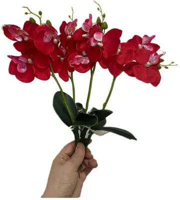 Image de Lot de 4 orchidées Phalaenopsis artificielles - Décoration - Lot de 4 - Plastique - 28 cm