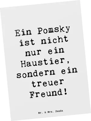 Produktbild von Mr. & Mrs. Panda Postkarte Spruch Pomsky Freund - Weiß - Geschenk, Grußkarte, Hunderassen Pflege, Ansichtskarte, Begleiter, treuer, liebevoll, Familienmitglied, Fotokarte