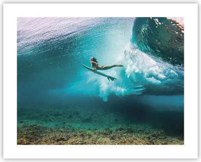 Produktbild von Poster - Poster ohne Rahmen - Surfen Unterwasser Frau - 50x40 cm - Wand Bild - Wanddeko - Wandbilder - Kunstposter - Wandposter - Bilder - Kunstdruck - Wanddekoration - Wandbild - P2XAA50x40-4898