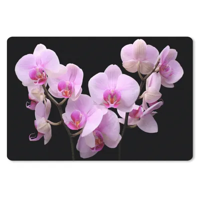 Produktbild von MuchoWow® Schreibtischunterlage Orchidee - Blumen - Rosa - Flora 60x40 cm - XXL Mauspad - Großes Mauspad