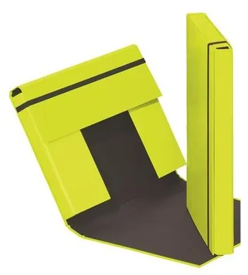Image de PAGNA Boîte à classeurs "Trend Colours", DIN A4, vert tilleul