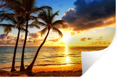 Produktbild von MuchoWow® Wandtattoo Wandsticker Wandaufkleber Strand - Horizont - Sonnenuntergang - Palme - Meer 90x60 cm Selbstklebend und Repositionierbar - Aufkleber
