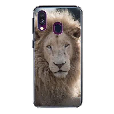 Produktbild von MuchoWow® Handyhülle Schutzhülle Hülle für Samsung Galaxy A40 Löwe - Tier - Weiß Silikon Softcase Handy Hülle - Handy-Tasche