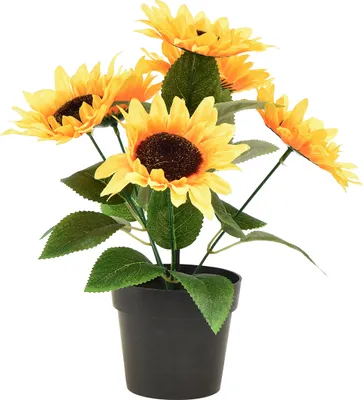 Produktbild von Everlands Sonnenblume Kunstpflanze - gelb - 28 cm