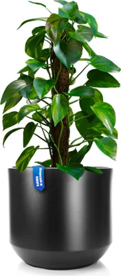 Produktbild von BigDean Blumentopf Style ø 40 cm anthrazit mit herausnehmbaren Innentopf - wetterfester Blumenkübel aus bruchsicherem Kunststoff - Pflanzkübel