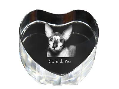 Produktbild von Cornisch Rex - Kristalluhr mit Katzenbild, Herzregal-Uhr, personalisierte Standuhr von Art-Dog.