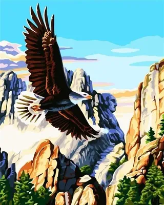 Produktbild von Malen nach Zahlen – Weißkopfseeadler 40 x 50 cm – ArtiFly