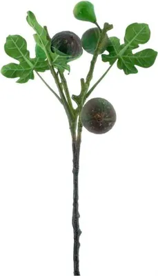 Imagen del producto de Rama de flor artificial, higuera (Ficus carica), color verde, seda, 59 cm. Flor decorativa