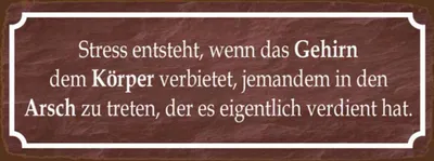 Produktbild von vianmo Holzschild 10x27 cm Stress entsteht wenn das Gehirn Spruch Zitat