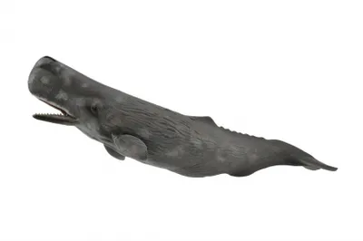 Immagine prodotto di Balena Casalot - statuetta animale