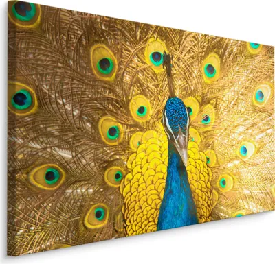 Produktbild von Fabelhafte Canvas LEINWAND BILDER 100x70 cm XXL Kunstdruck Vogel Pfau Federn Natur