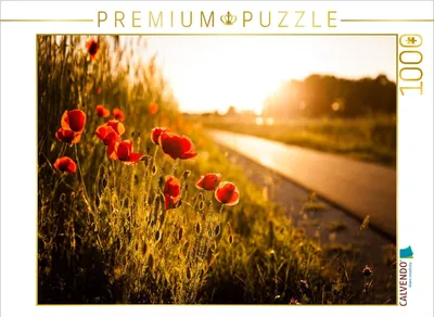 Produktbild von CALVENDO Puzzle Mohnblumen am Radweg zwischen Heßdorf und Großenseebach 1000 Teile Puzzle quer | 1000 Teile Lege-Größe 64x48cm Foto-Puzzle für glückliche Stunden