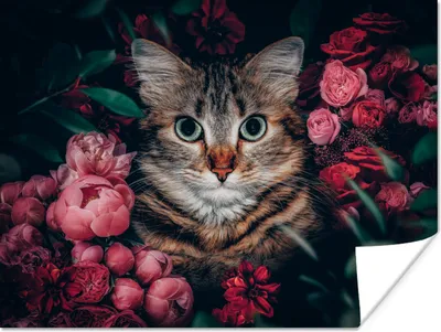 Produktbild von MuchoWow® Poster Katze - Blumen - Tiere - Botanisch 160x120 cm - Foto Plakat