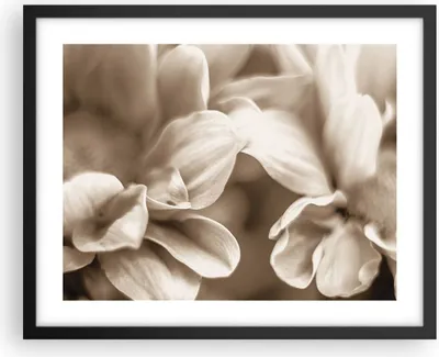 Produktbild von Gerahmtes Poster - Schwarzer Rahmen - Blumen Boho ohne - 50x40 cm - Wand Bild - Wanddeko - Wandbilder - Kunstposter - Wandposter - Bilderrahmen - Bilder - Kunstdruck - Wanddekoration - P2BAA50x40-4767
