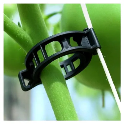 Produktbild von Pflanzenclips 100 Stück - 28 mm Durchmesser - Schwarz - Recycelter Kunststoff - Unterstützung für Tomatenpflanzen - Aufbindeklammern