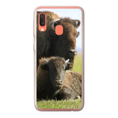 Produktbild von MuchoWow® Handyhülle Schutzhülle Hülle für Samsung Galaxy A20e Büffel - Gras - Kalb Silikon Softcase Handy Hülle - Abdeckung