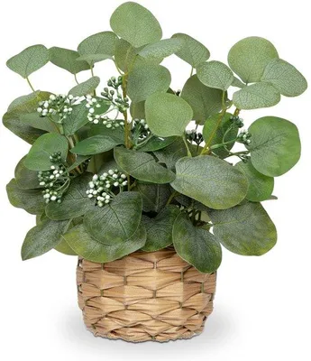 Obrázok produktu pre Umelá eukalyptová rastlina, 32 cm, dekorácia do izby