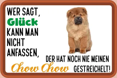 Produktbild von vianmo Holzschild 12x18 cm Glück nicht anfassen Chow Dekoration